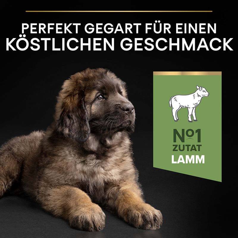 PURINA PRO PLAN Large Robust Puppy Sensitive Digestion | bitiba %