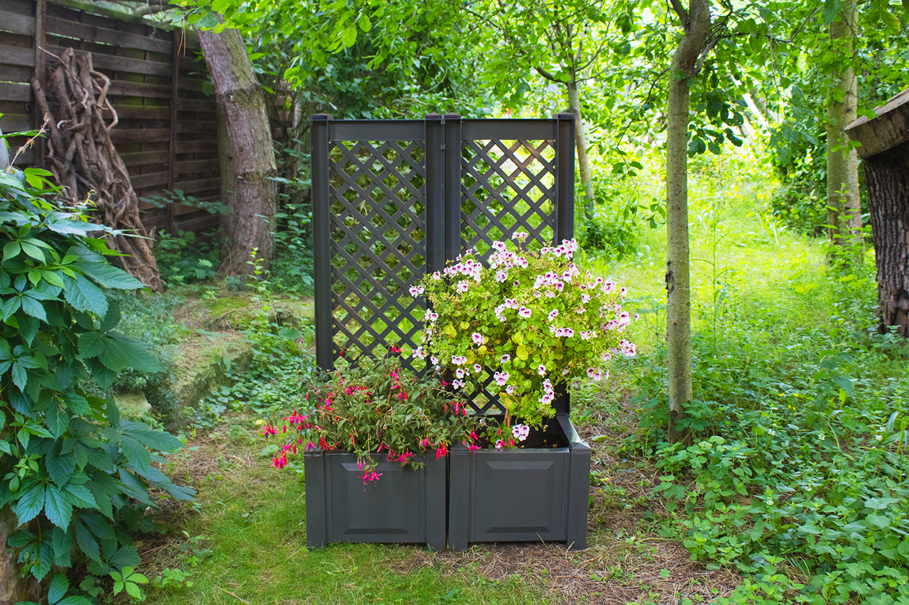 KHW KHW Pflanzkasten 43 cm mit Spalier, anthrazit - 2er Set