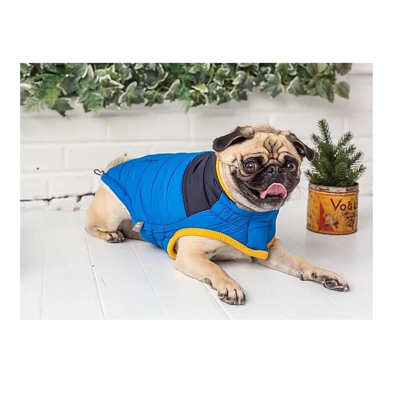 GF Pet Hundemäntel GF Pet Scout Jacke blau XS