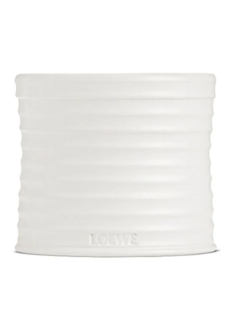 LOEWE vidēja lieluma oregano svece - aromātiskā svece 610 grami