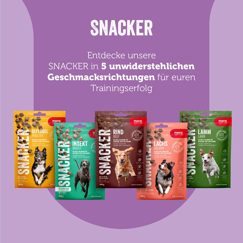 mera Snacker