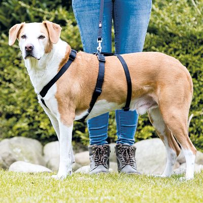 Trixie Panikgeschirr Stay Schwarz