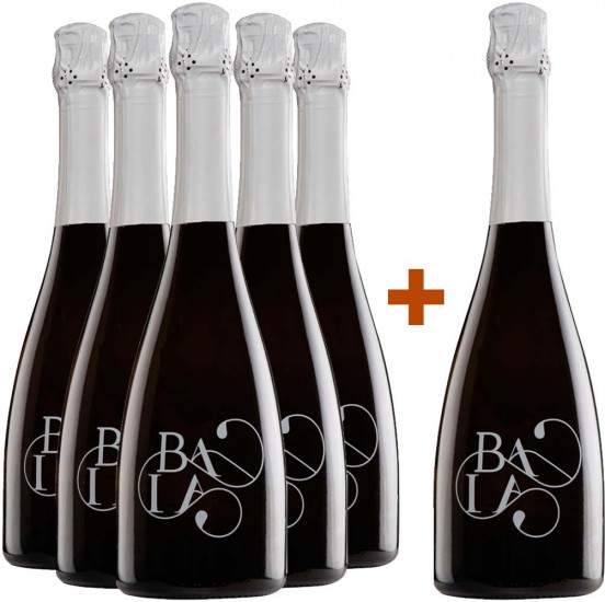 5+1 Baia Falanghina Spumante Metodo Martinotti Lungo - Villa Matilde