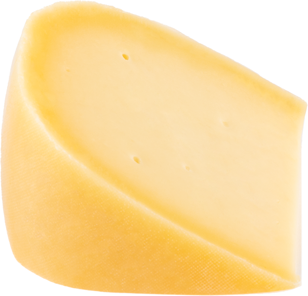 Hafenkäserei Käpt'n Pauli Jung Bio Gouda