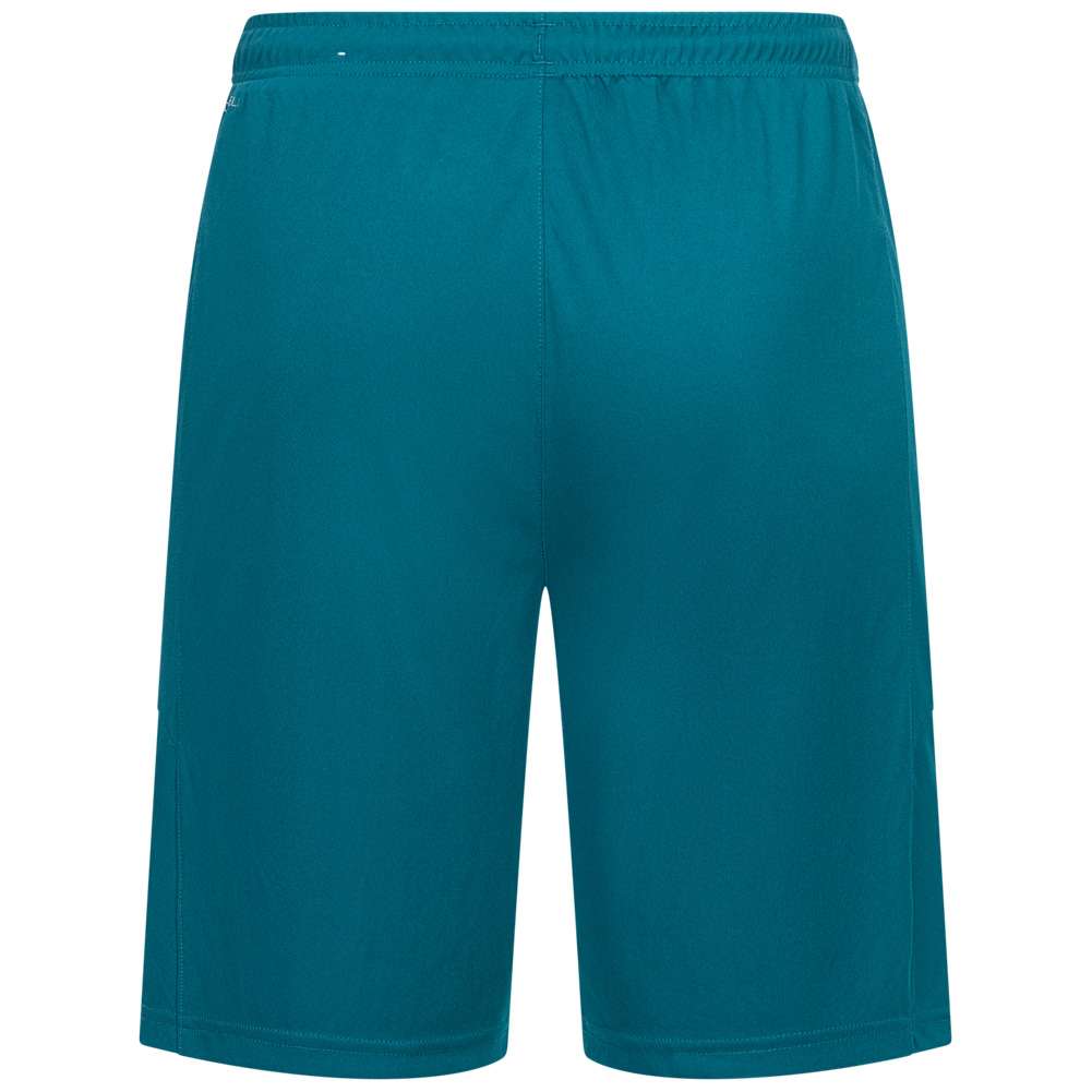 Borussia Mönchengladbach PUMA Herren Heim Shorts 757969-04