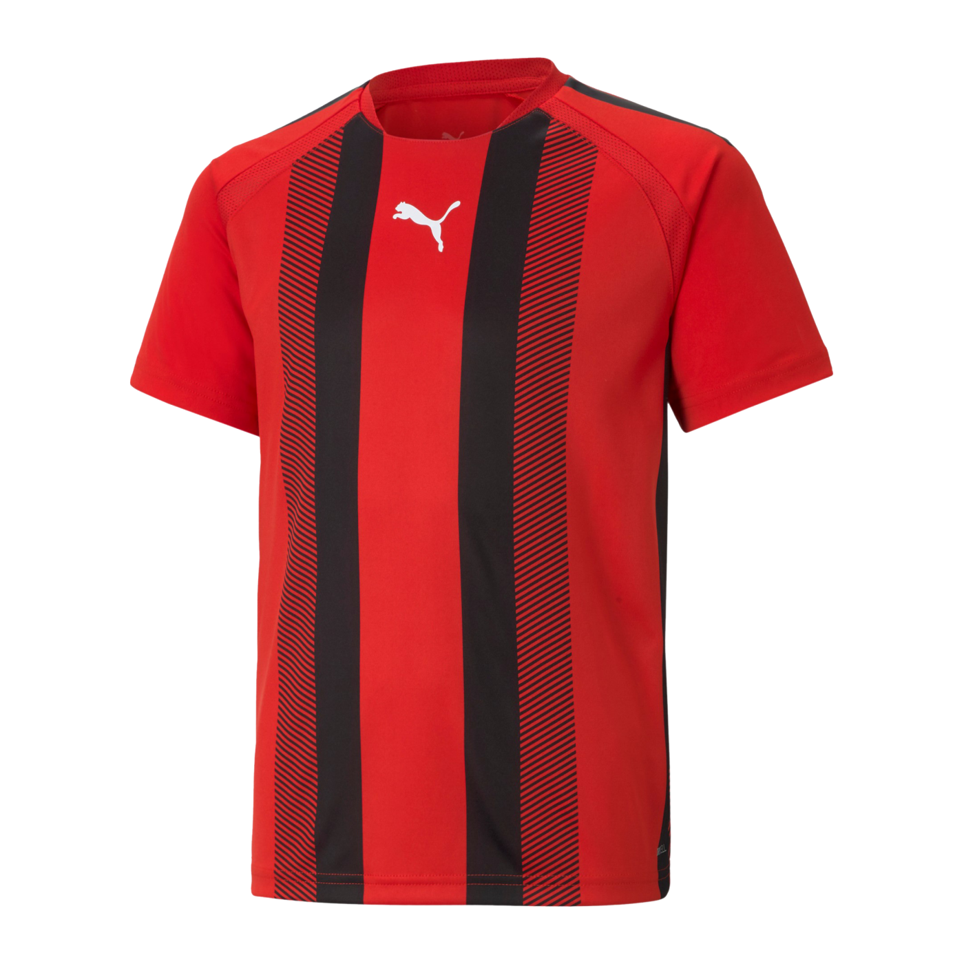 PUMA teamLIGA Striped Trikot Kids Rot Schwarz F01