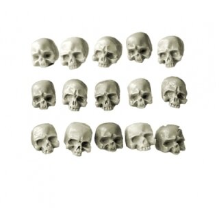 Human Skulls