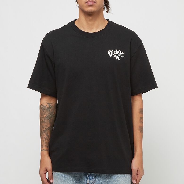 Dickies Raven Tee Short Sleeve Black schwarz
