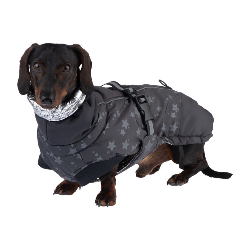 Hundemantel Reflecting Stars zu TOP-Preisen