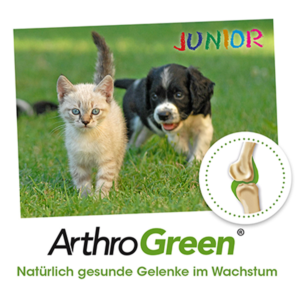ArthroGreen Ergänzungsfutter & Aufzucht ArthroGreen Junior 25 g