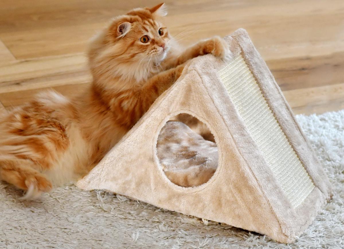 Silvio Design Katzenpyramide Isa