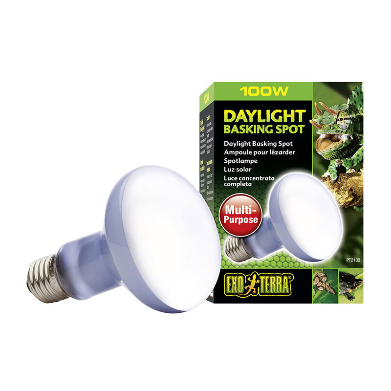 Exo Terra Beleuchtung Exo Terra ExoTerra Daylight Basking Spot 100 W