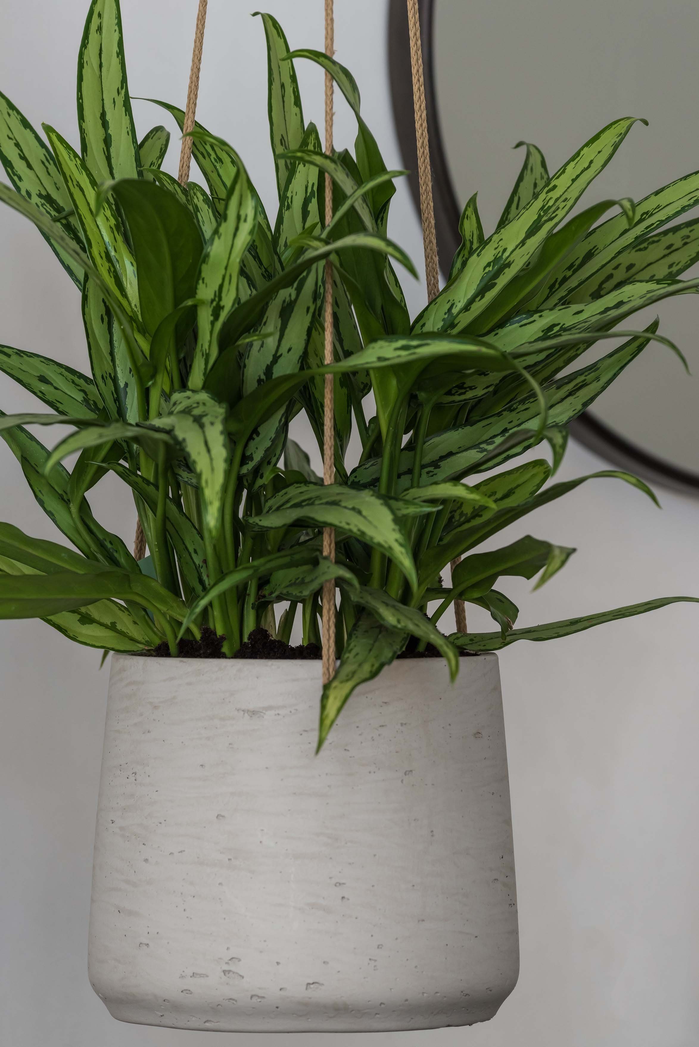 finestgreen Blumenampel Handgefertigte Blumenampel Hanging Patt