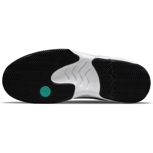 HERREN BASKETBALLSCHUHE JORDAN MAX AURA 2