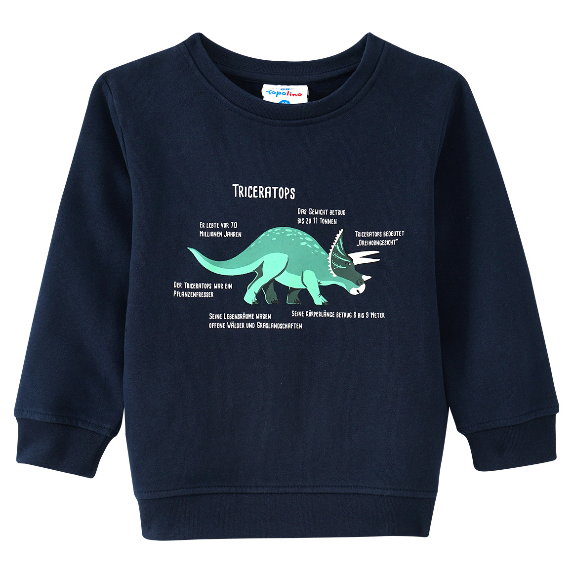 Kinder Sweatshirt mit Triceratops-Motiv