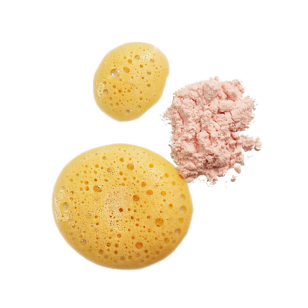 Poudre nettoyante bio Evolve avec enzymes et vitamine C