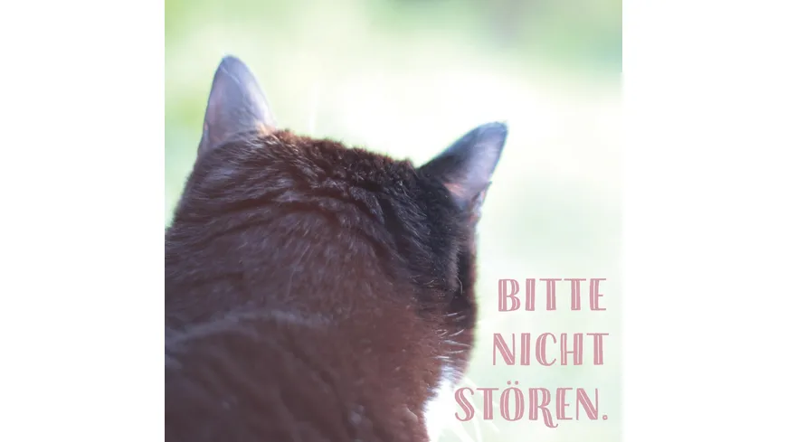 Die ganze Wahrheit über deine Katze