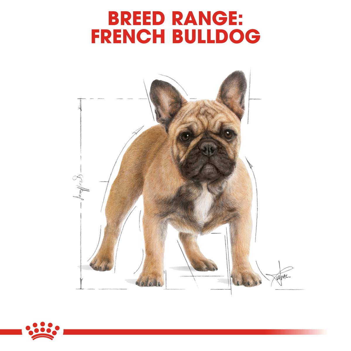 Royal Canin Hundefutter French Bulldog Adult 2x9kg bei ZooRoyal