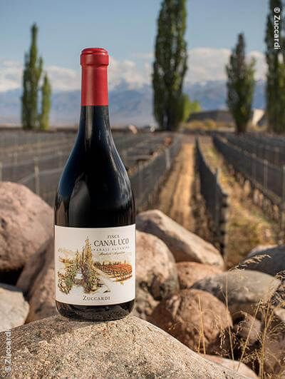 Zuccardi : Finca Canal Uco Malbec 2019