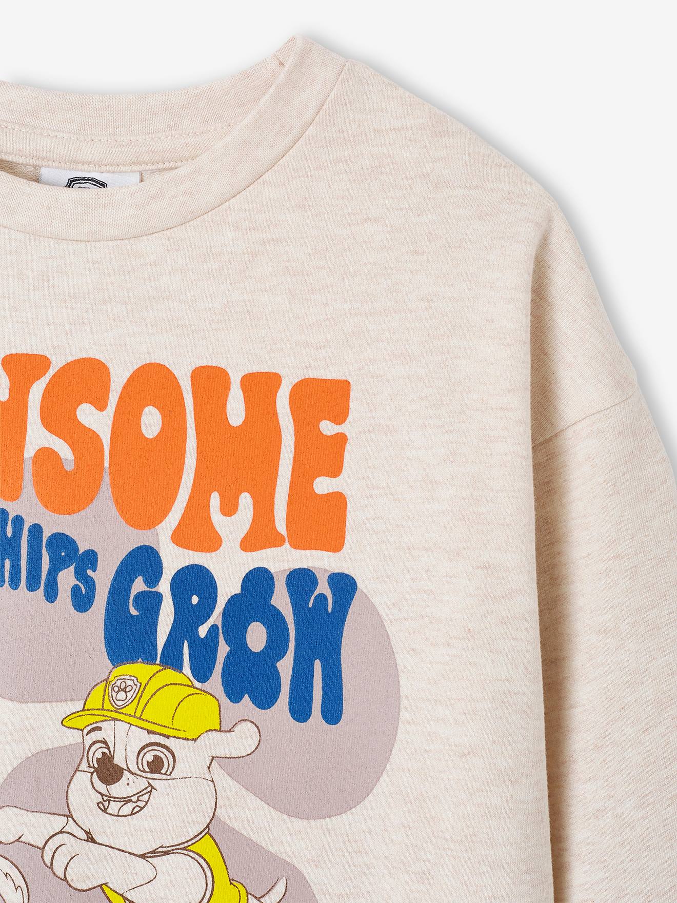 Paw Patrol Kinder Sweatshirt PAW PATROL - beige meliert