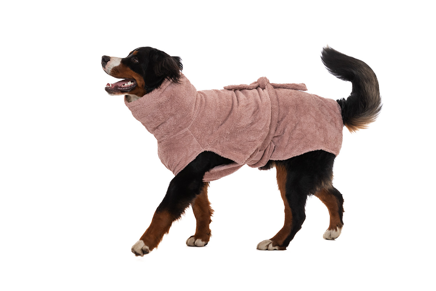 Lills Hundemäntel Lills Lill's Hundebademantel 
