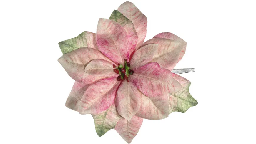 LEONARDO Blüte Weihnachtsstern Rosé Clip