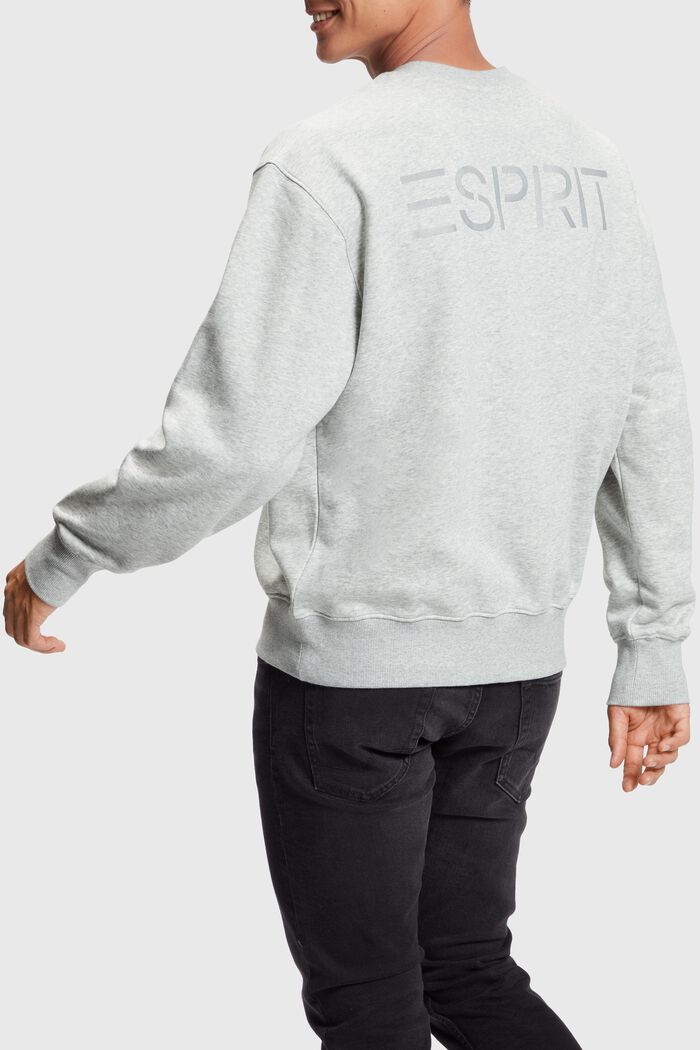 Color Dolphin Sweatshirt