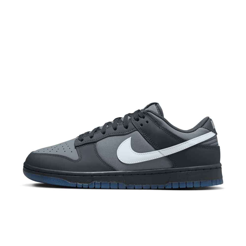 Nike Dunk Low FV0384-001 / grau