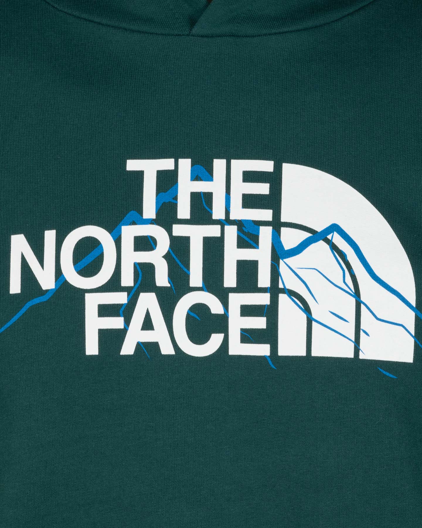 Felpa The North Face Mountain Line M NF0A8FM36GI1