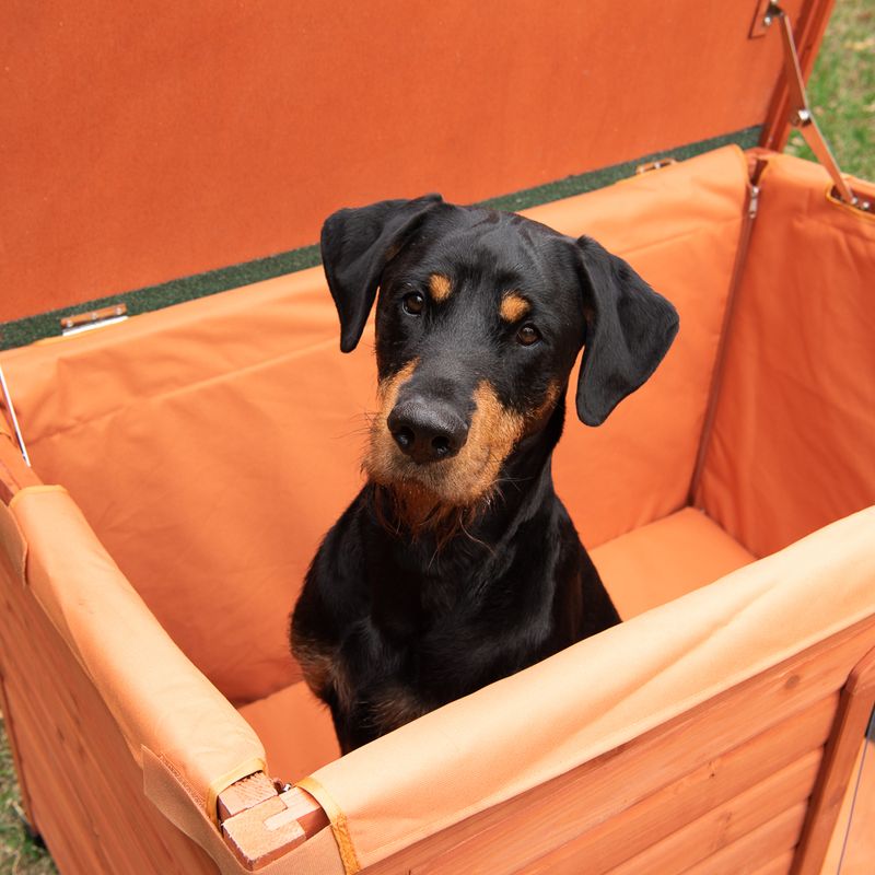 Sparset Hundehütte Woody Flachdach & Isolierung