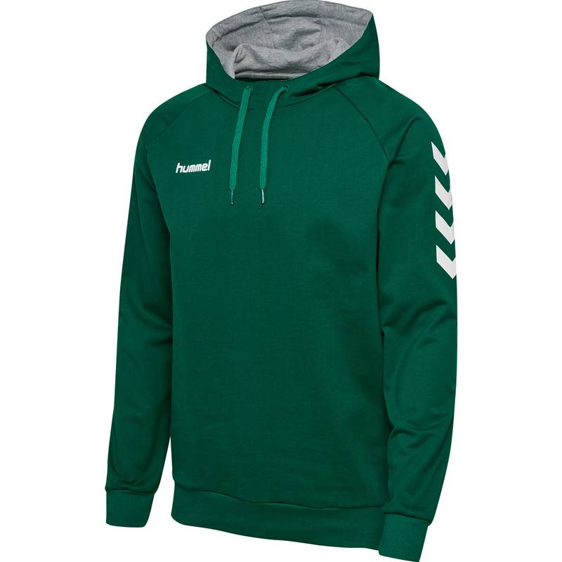 hummel HMLGO COTTON HOODIE Sweatshirt Herren