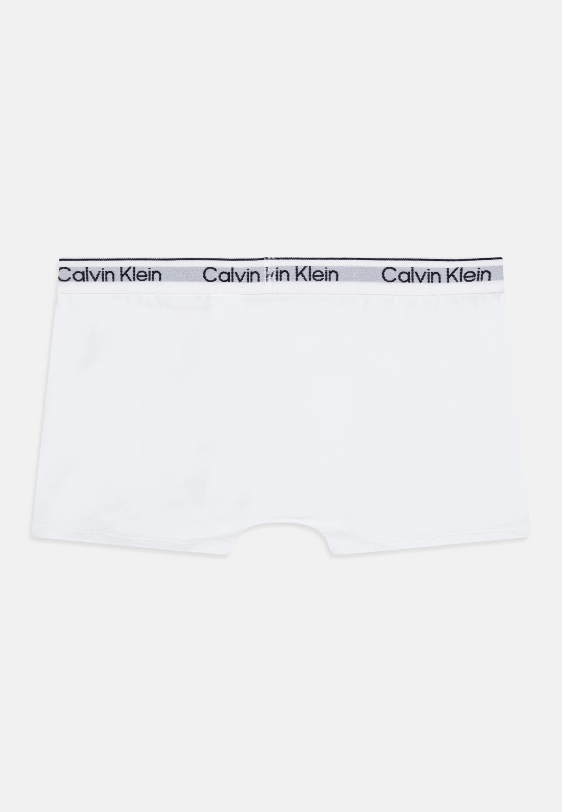 Calvin Klein Underwear TRUNK PACK DE 5 - Culotte
