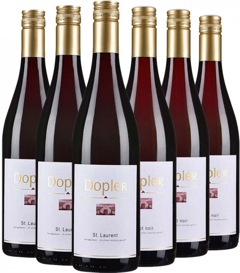 Dopler Kennenlern-Paket - Weingut Dopler