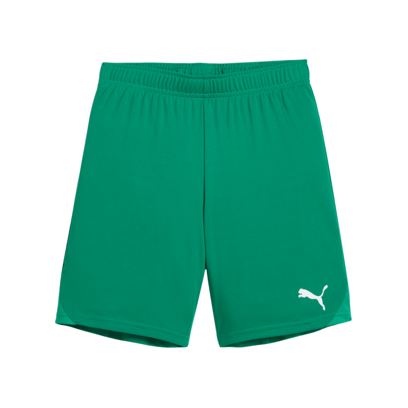 PUMA teamGOAL Short Kids Grün Weiss F05