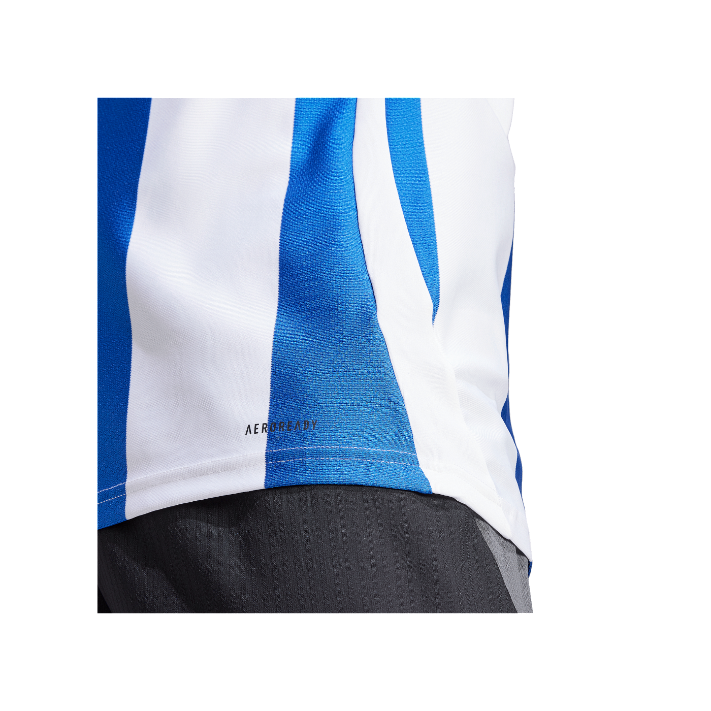 adidas Striped 24 Trikot Weiss Blau
