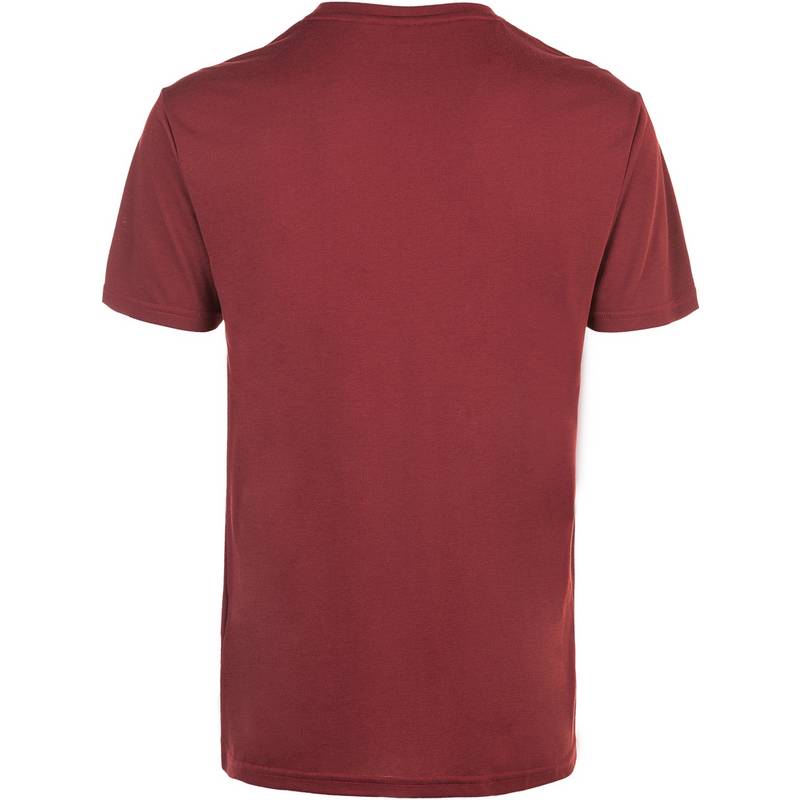 Virtus EDWARDO Printshirt Herren