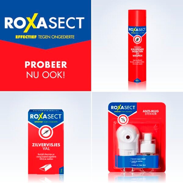 Roxasect repülő rovarok elleni spray 400ml