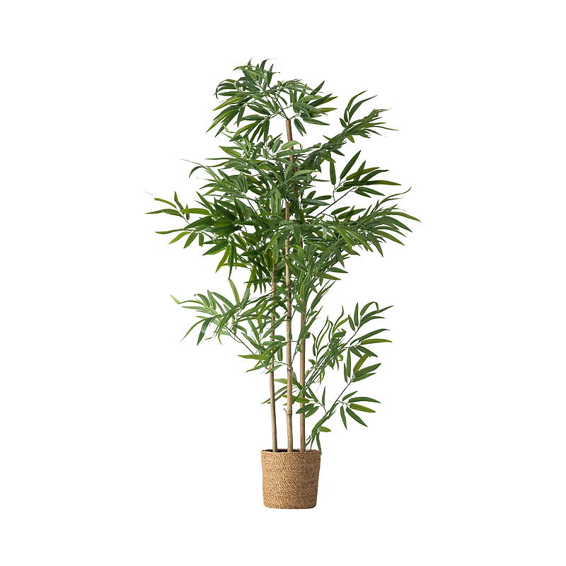 Home Bambustre 123 cm