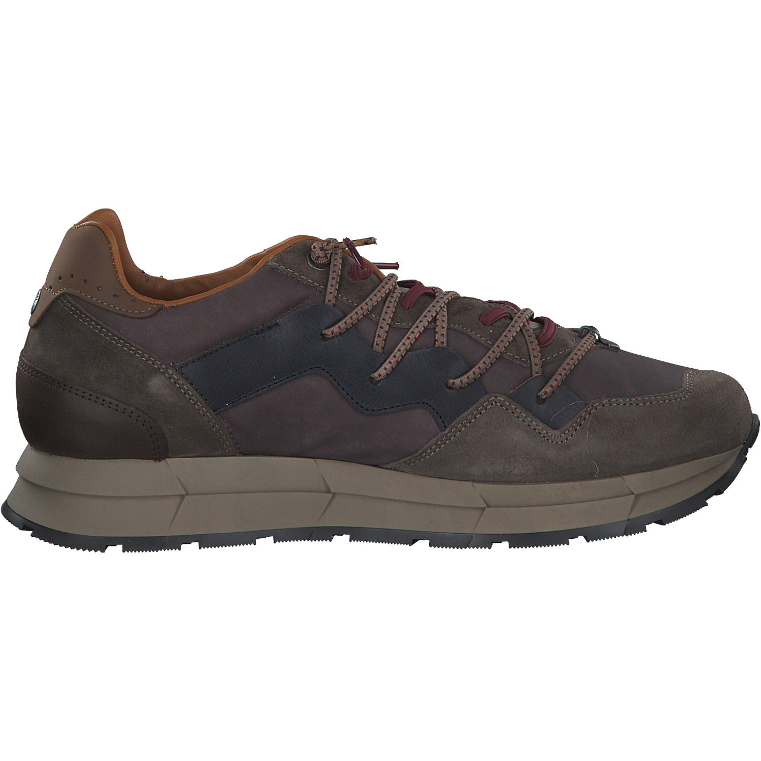 Cetti C1327 EXP, Klassische- & Business Schuhe, Herren, Braun