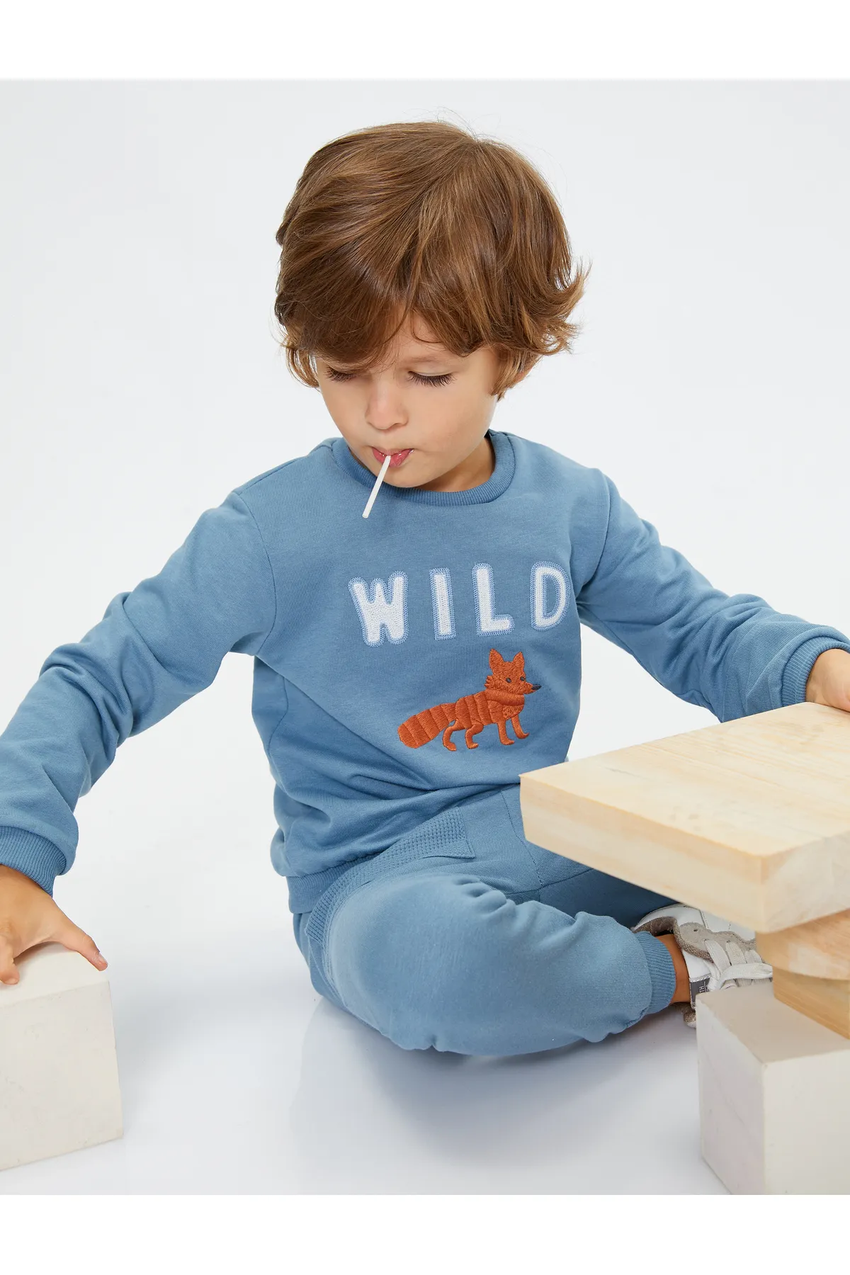 Koton  Sweatshirt mit Fox-Stickerei, langärmlig, Rundhalsausschnitt, Baumwolle