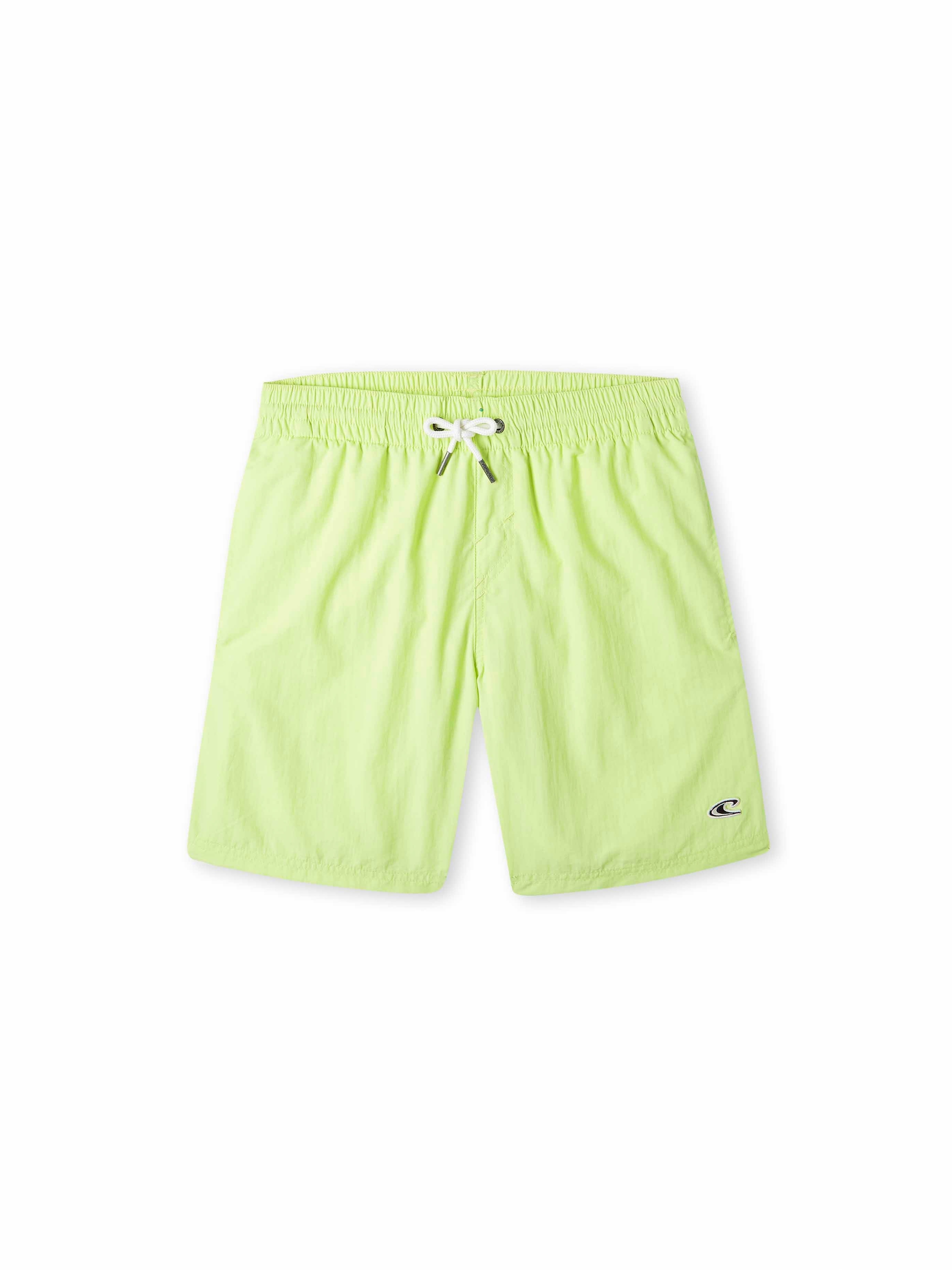 Board Shorts 'Vert'