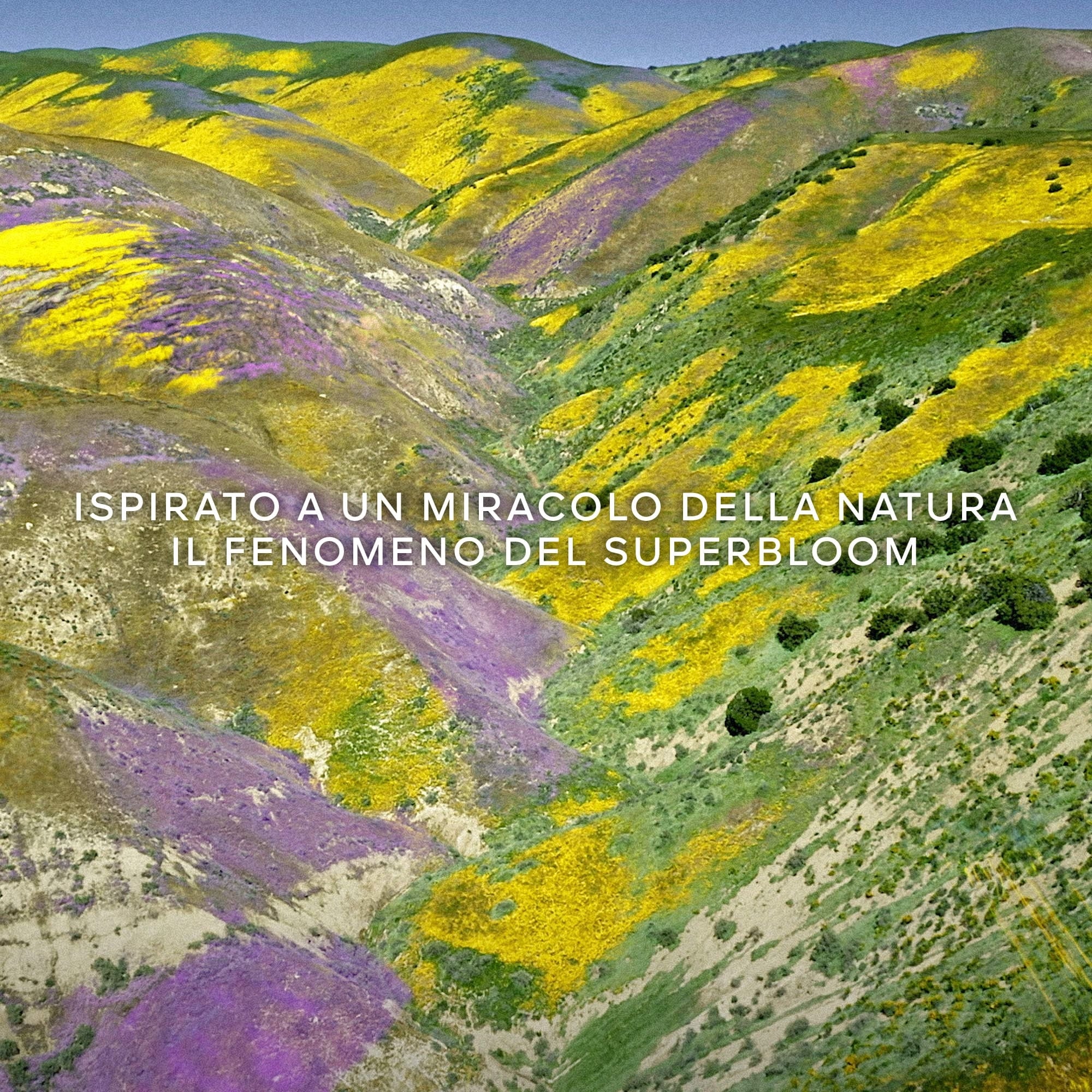 Aqua Allegoria Florabloom Forte - parfumska voda