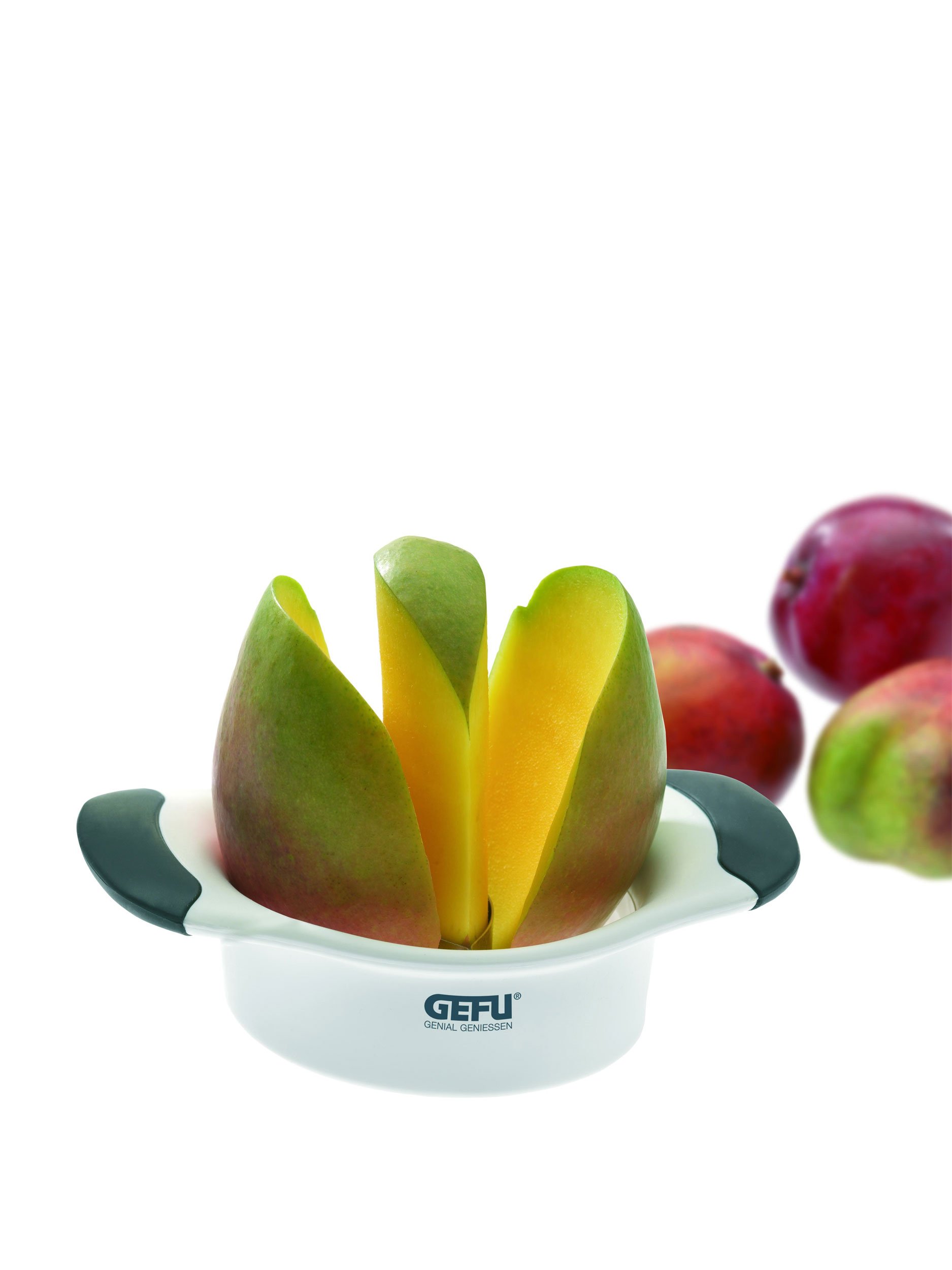 GefuMangoteiler