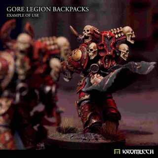 Gore Legion Backpacks (5)