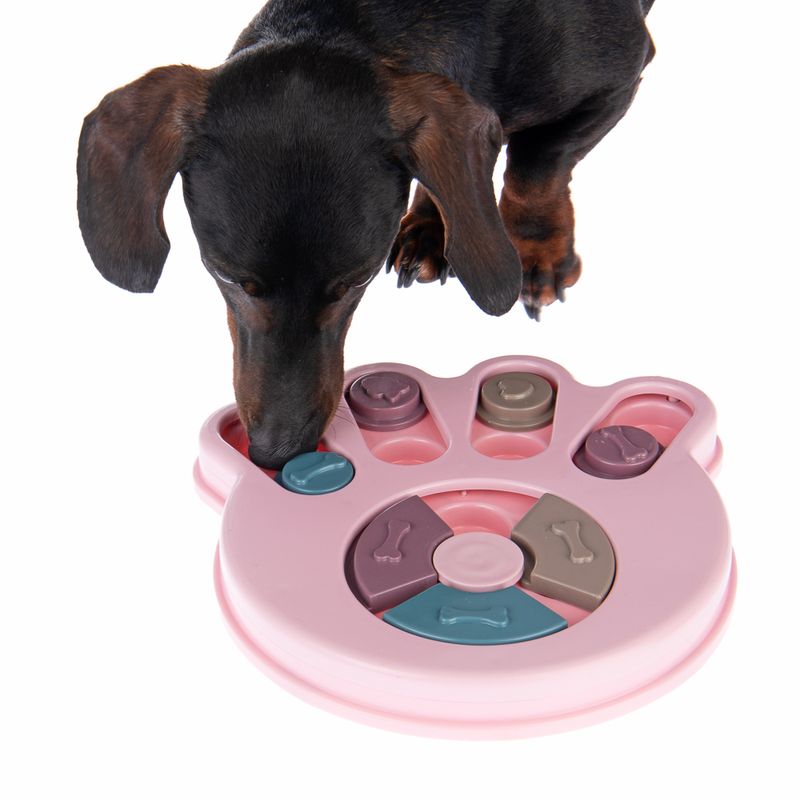 Intelligenzspielzeug Snack Paw zu TOP-Preisen