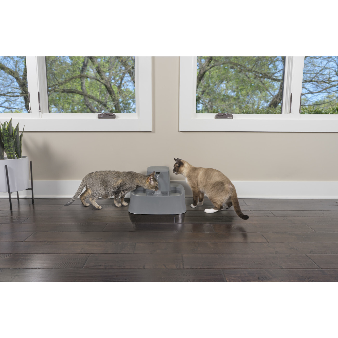 PetSafe Trinkbrunnen PetSafe Trinkbrunnen 7,5 l