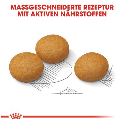 Royal Canin Maxi Dermacomfort