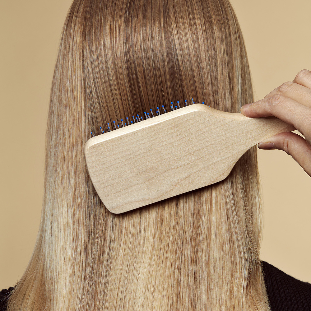 Hair Rituel by Sisley La Brosse Brillance & Douceur Brosse