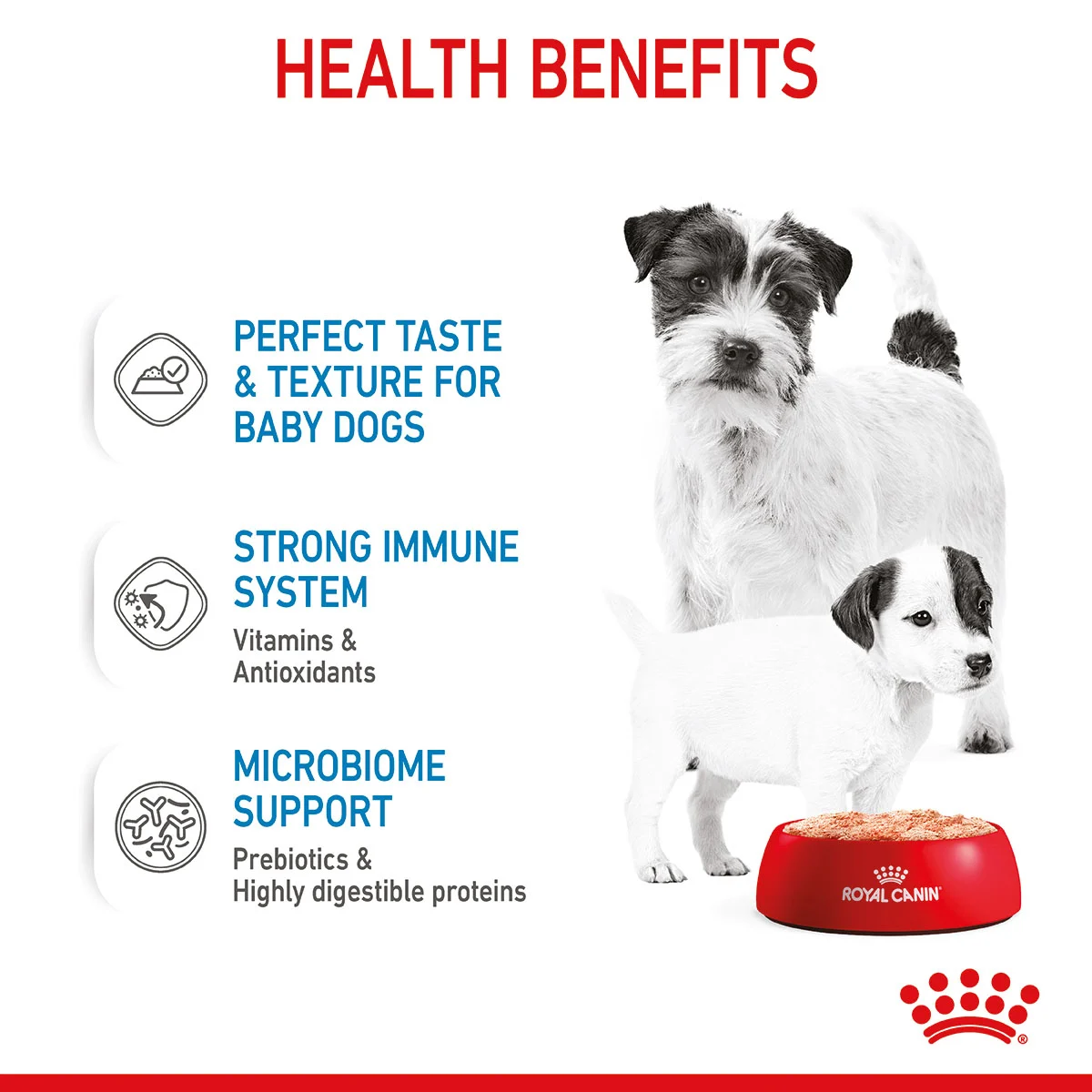ROYAL CANIN SHN Starter Loaf Can 12x195g kaufen bei ZooRoyal