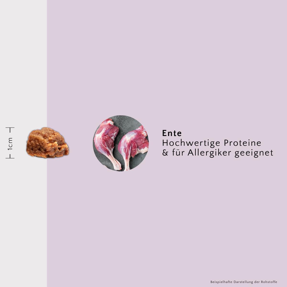 FAVLY Petfood Snacks FAVLY Petfood PURE Bites Ente 720 g